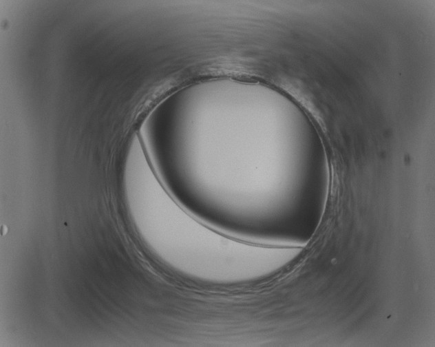 X0000081330109200701111013