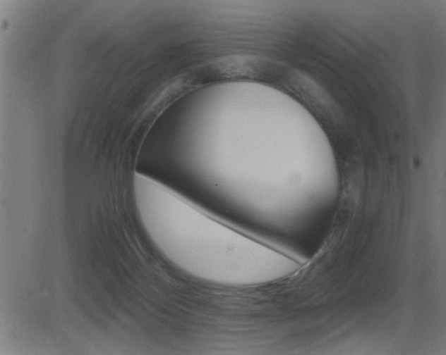 X0000081330124200701111013