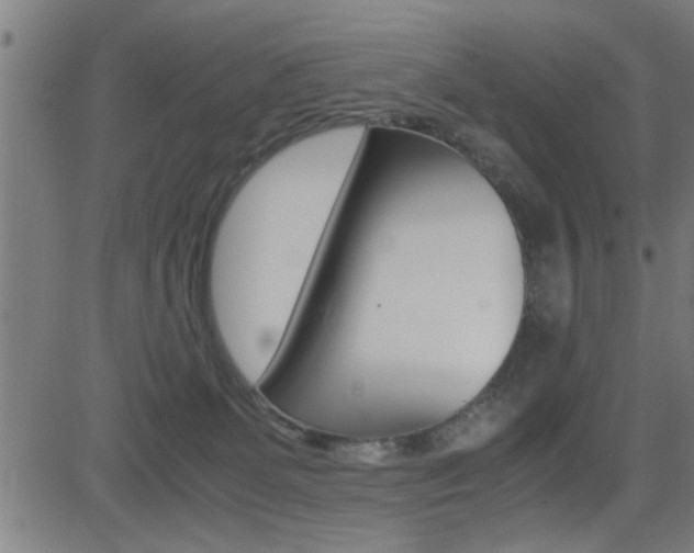 X0000081330131200701111013