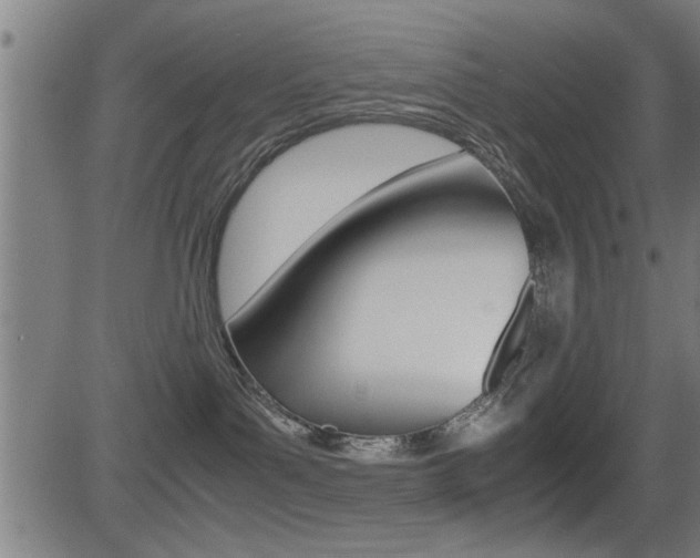 X0000081330143200701111012