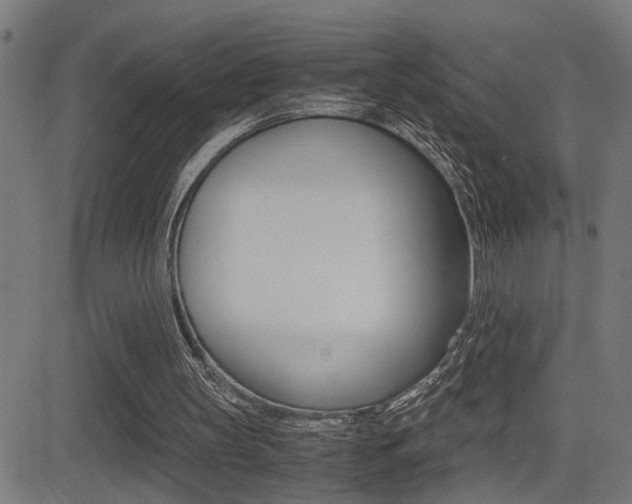 X0000081330147200701111012
