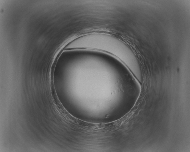 X0000081330148200701111012