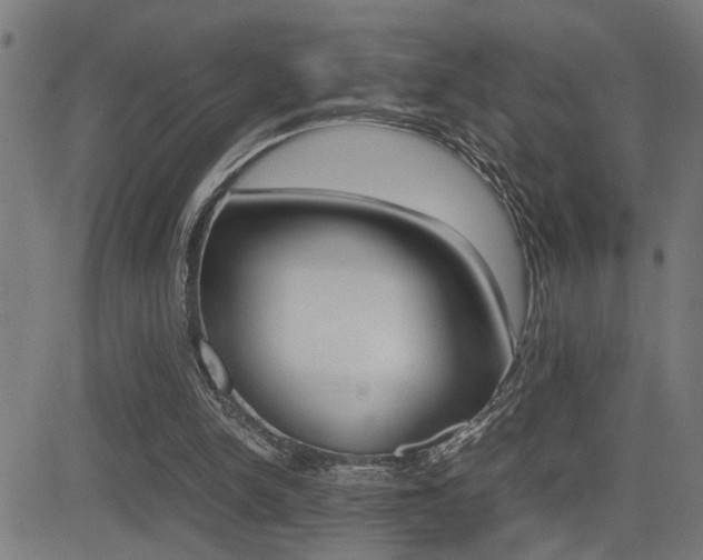 X0000081330150200701111012