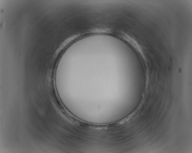 X0000081330155200701111012