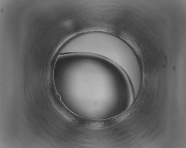 X0000081330156200701111012