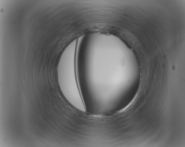 X0000081330192200701111012