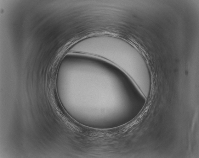 X0000081330193200701111012