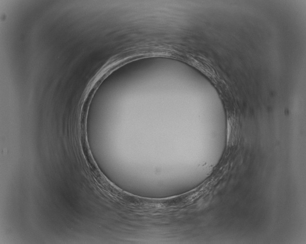 X0000081330195200701111012