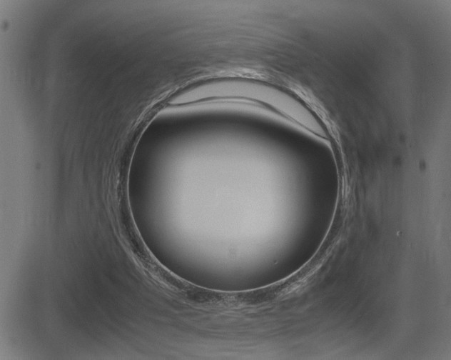 X0000081330201200701111011