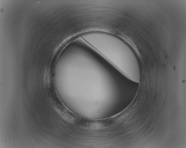 X0000081330204200701111011
