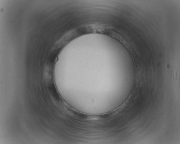 X0000081330218200701111011