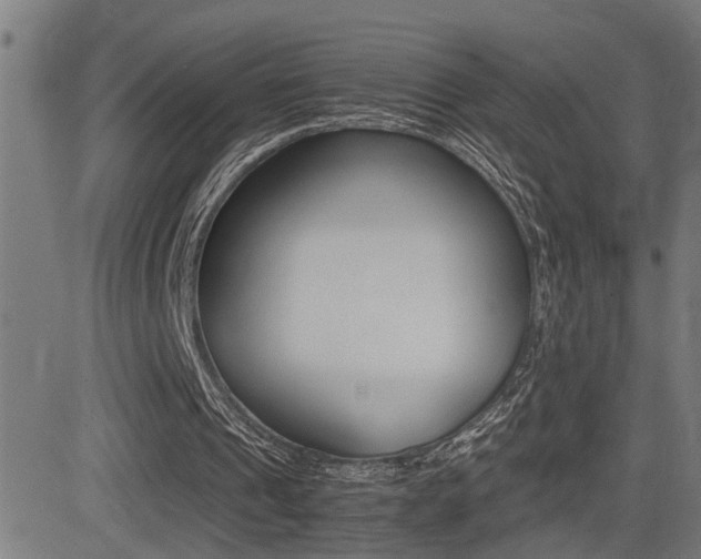 X0000081330241200701111010