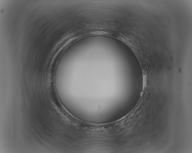 X0000081330243200701111010