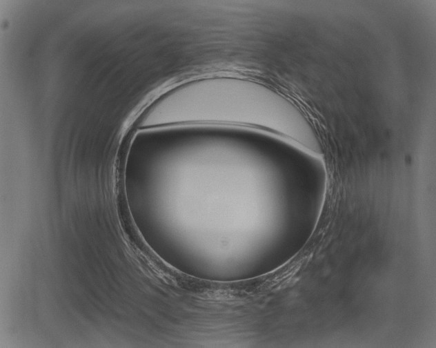 X0000081330244200701111010