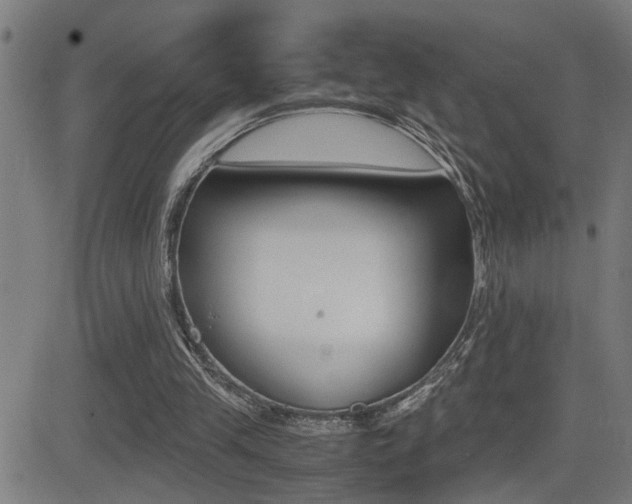 X0000081330245200701111010
