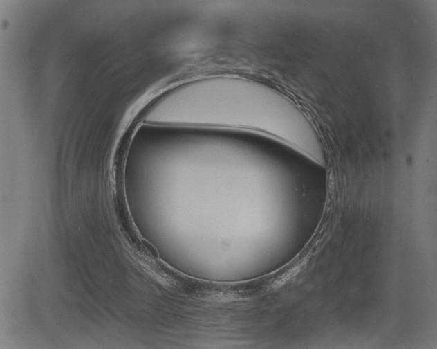 X0000081330246200701111010