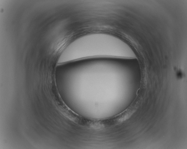 X0000081330258200701111010