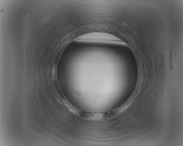 X0000081330288200701111011
