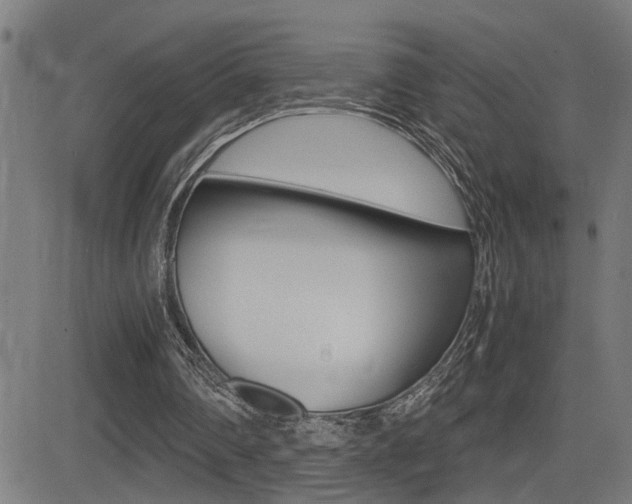 X0000081330290200701111010