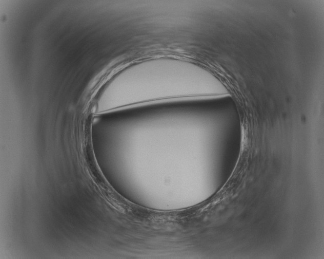 X0000081330291200701111010