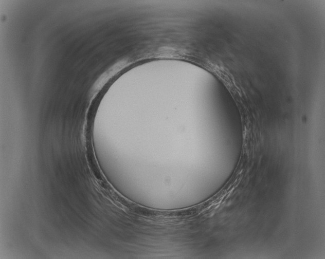 X0000081330292200701111010