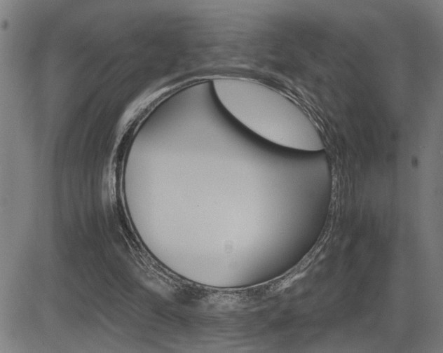 X0000081330294200701111010
