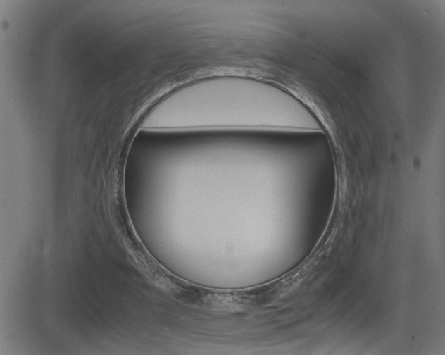 X0000081330297200701111010