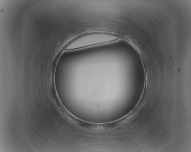 X0000081330301200701111010