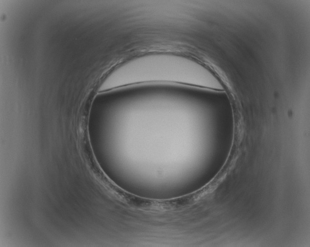X0000081330305200701111010
