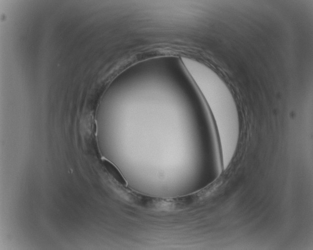X0000081330325200701111009