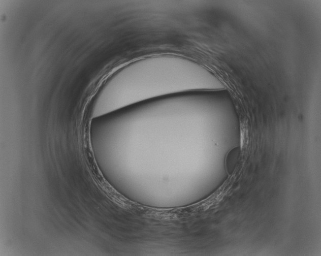 X0000081330339200701111008