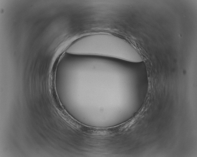 X0000081330342200701111009