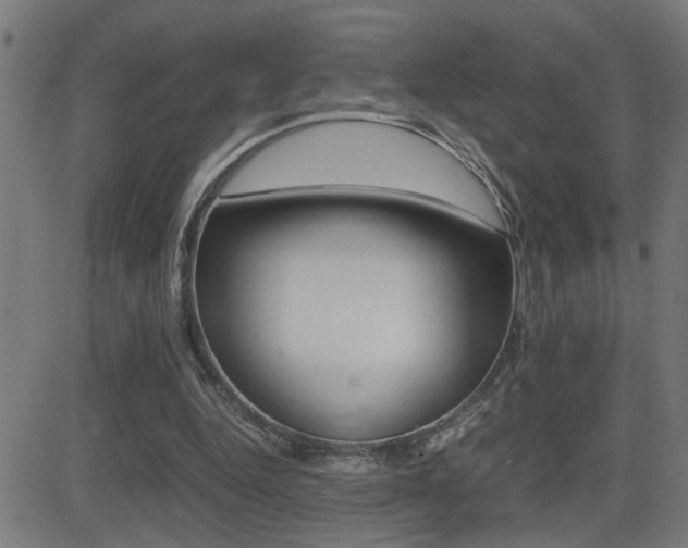 X0000081330344200701111009