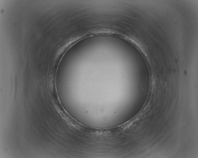 X0000081330345200701111009