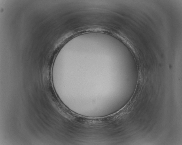 X0000081330347200701111009