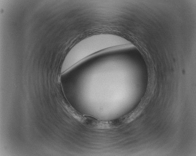X0000081330384200701111009