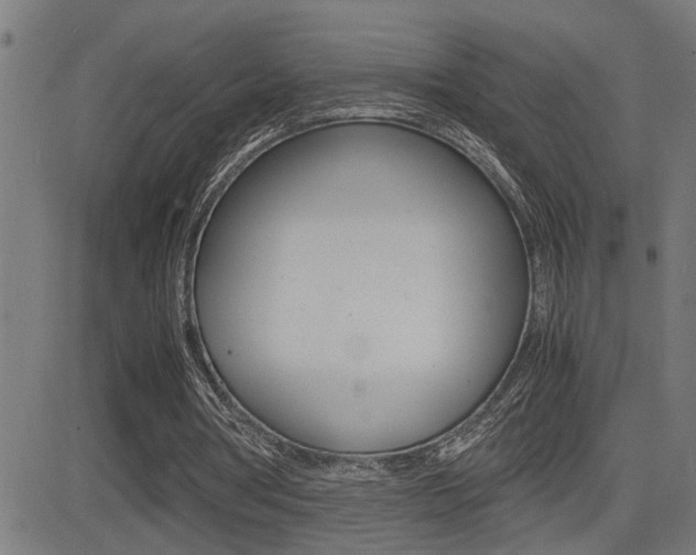 X0000081330386200701111008