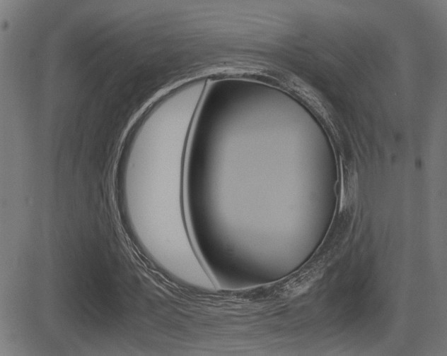 X0000081330387200701111008