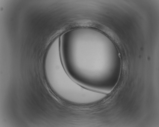 X0000081330397200701111008