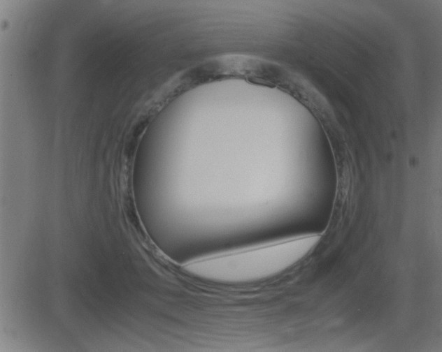 X0000081330413200701111008