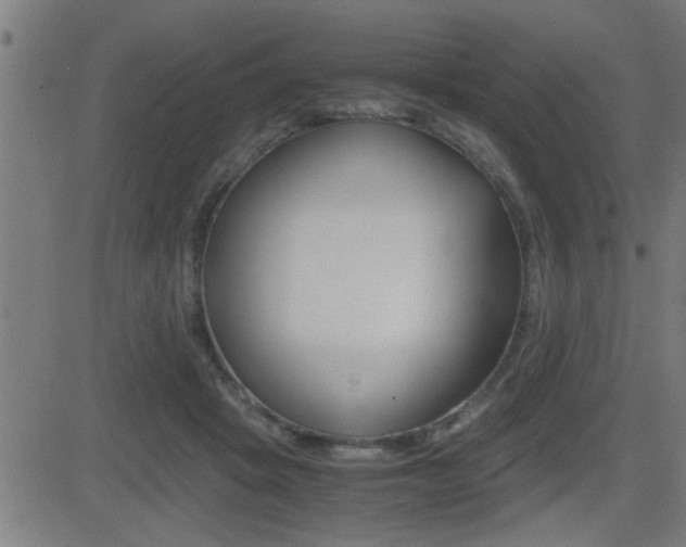X0000081330457200701111007