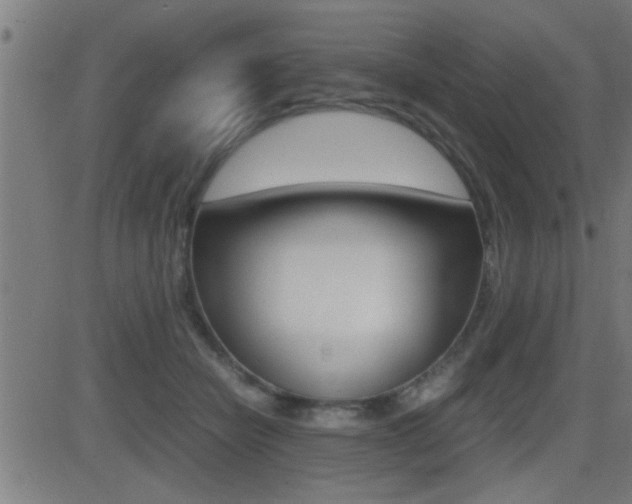 X0000081330462200701111007