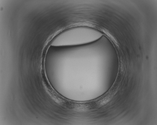 X0000081330486200701111007