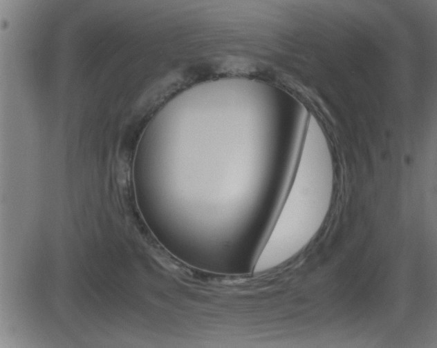 X0000081330517200701111006