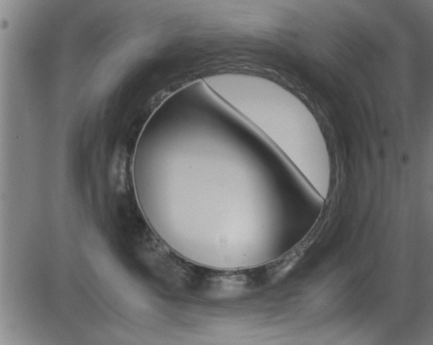 X0000081330525200701111006