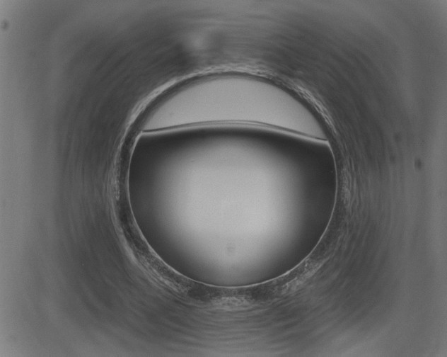 X0000081330536200701111005