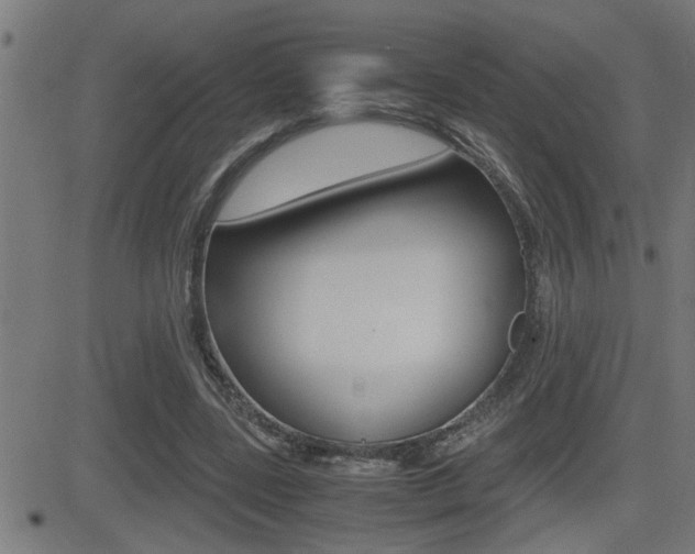 X0000081330539200701111005