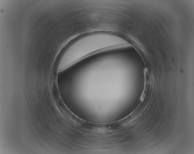 X0000081330540200701111005