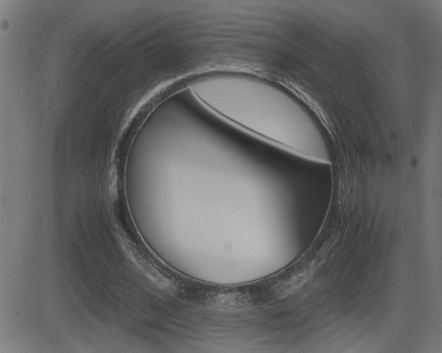 X0000081330584200701111005
