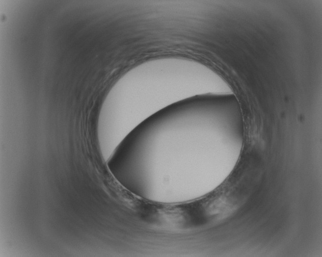 X0000081330603200701111005